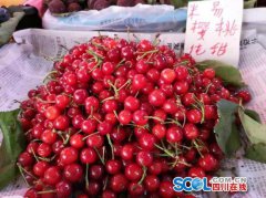 太阳城赌场： 袁城霖/摄 四川在线消息（袁城霖 记者 李欣忆） 最近